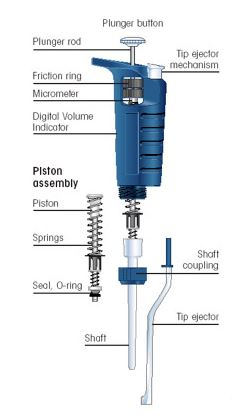 Pipette Anatomy The Components of a Micropipette