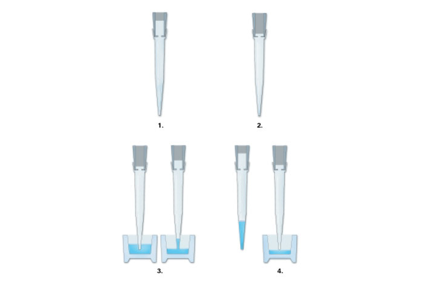 AIR DISPLACEMENT PIPETTES