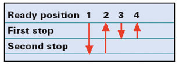 REPETITIVE PIPETTING TECHNIQUE