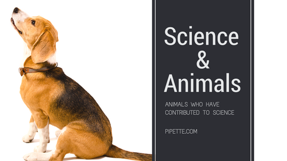 Science &Animals (2)