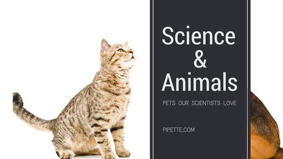 Science &Animals