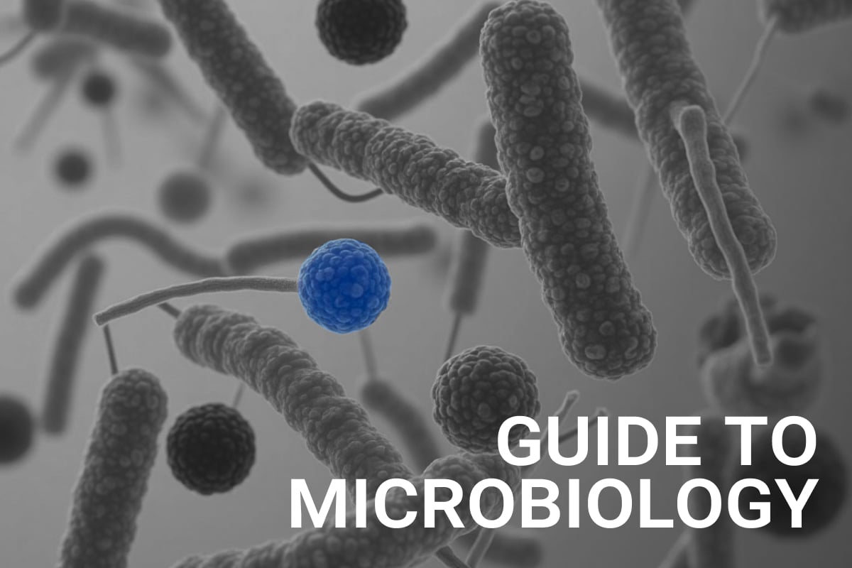 Digital illustration of various rod-shaped and spherical microorganisms under a microscope, with one blue-colored spherical microbe highlighted in contrast against a grayscale background. The text "GUIDE TO MICROBIOLOGY" appears in bold white letters in the lower-right corner. 