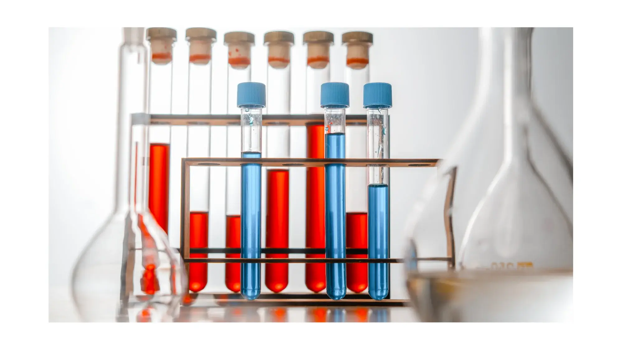 What Are Test Tubes Used For?